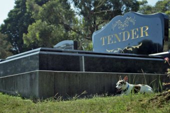 Tender A Documentary about a Funeral Service.  Dog on a grave.